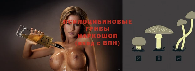 тгк Алексин
