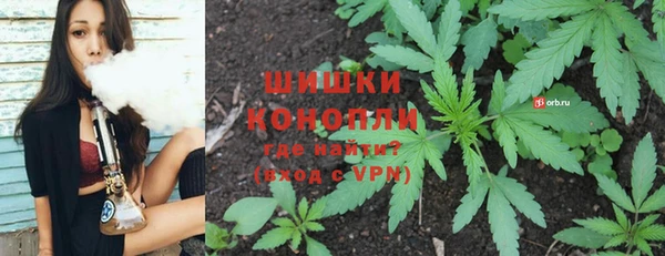 Альфа ПВП Осинники