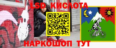 шишки Братск