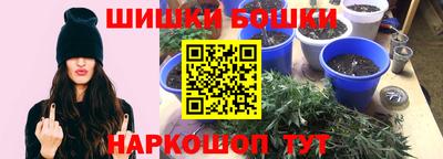 шишки Братск
