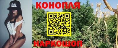 шишки Братск