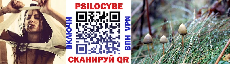 Псилоцибиновые грибы мицелий  Брянск 