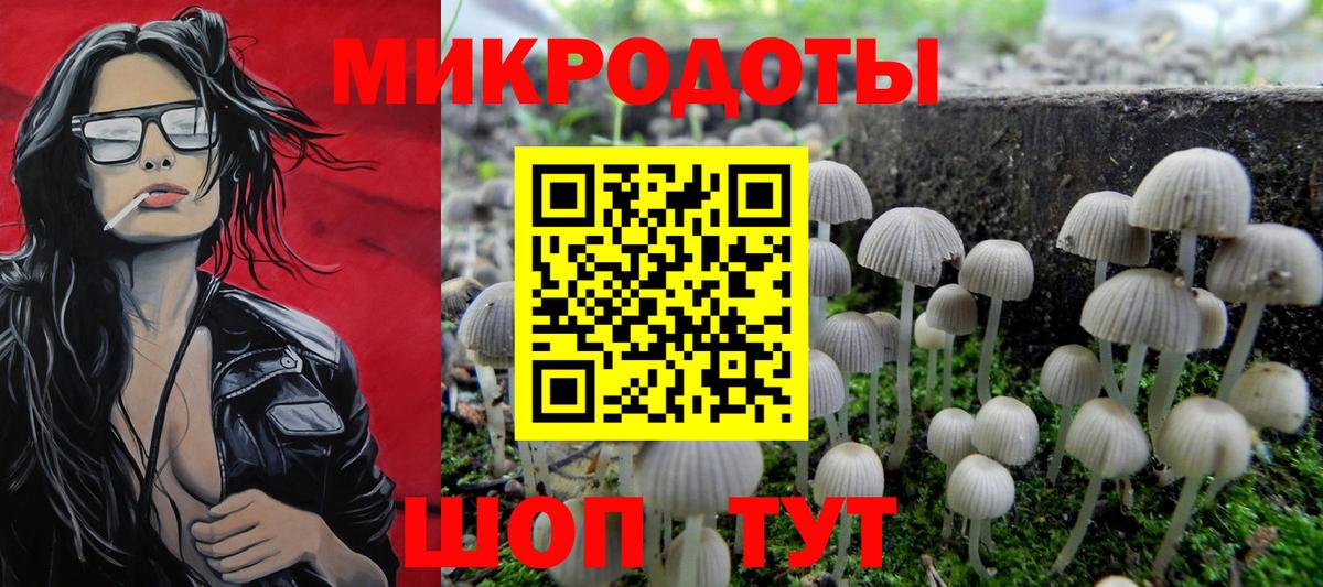 Псилоцибиновые грибы Psilocybine cubensis  Вход с VPN  Брянск 